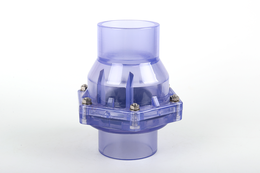 三江透明翻板式止回阀